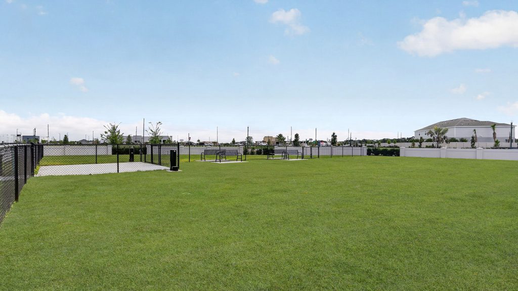 dog park